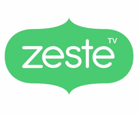 logo partner website zeste-min